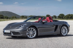 Porsche-Boxster-car-cover