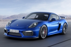Porsche-Cayman-car-cover