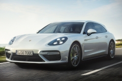 Porsche-Panamera-car-cover